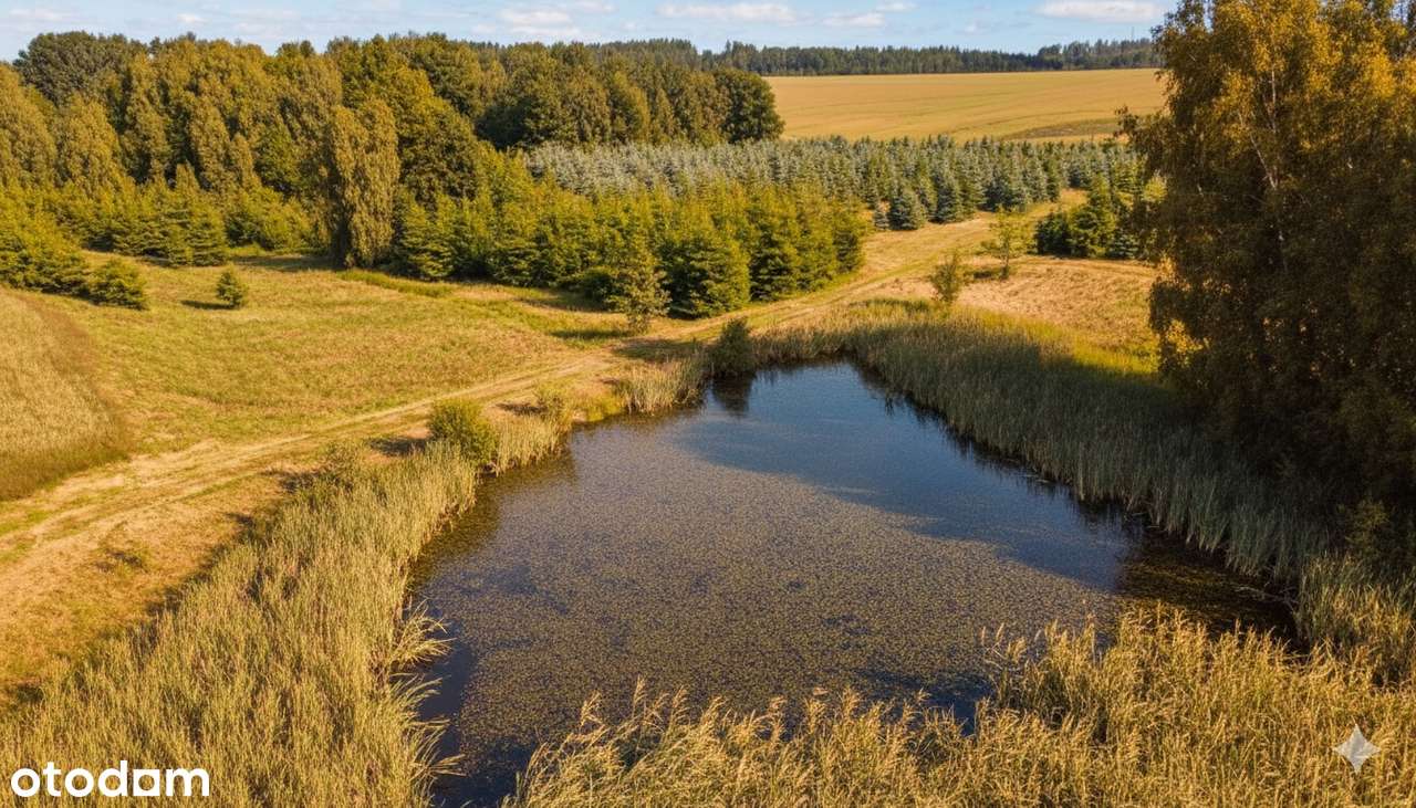 Działka, 61 800 m², Gryfów Śląski-4