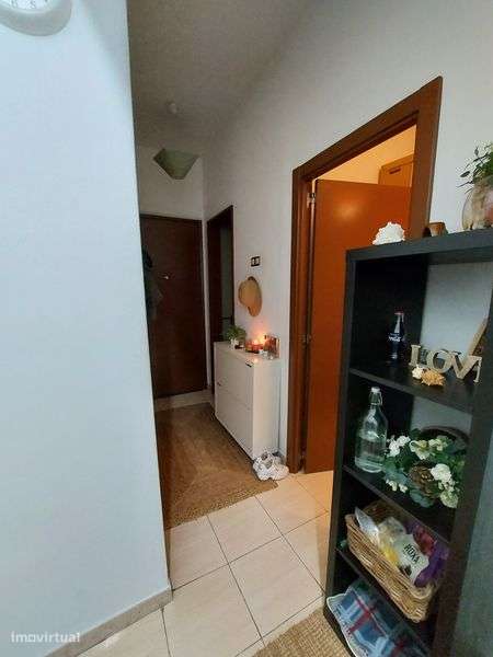 T0 Amadora disponível apartir de Dezembro - Grande imagem: 4/7