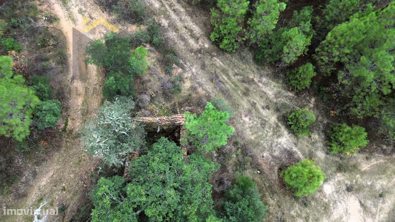 Quinta  Venda em Freixial e Juncal do Campo,Castelo Branco - Grande imagem: 5/16