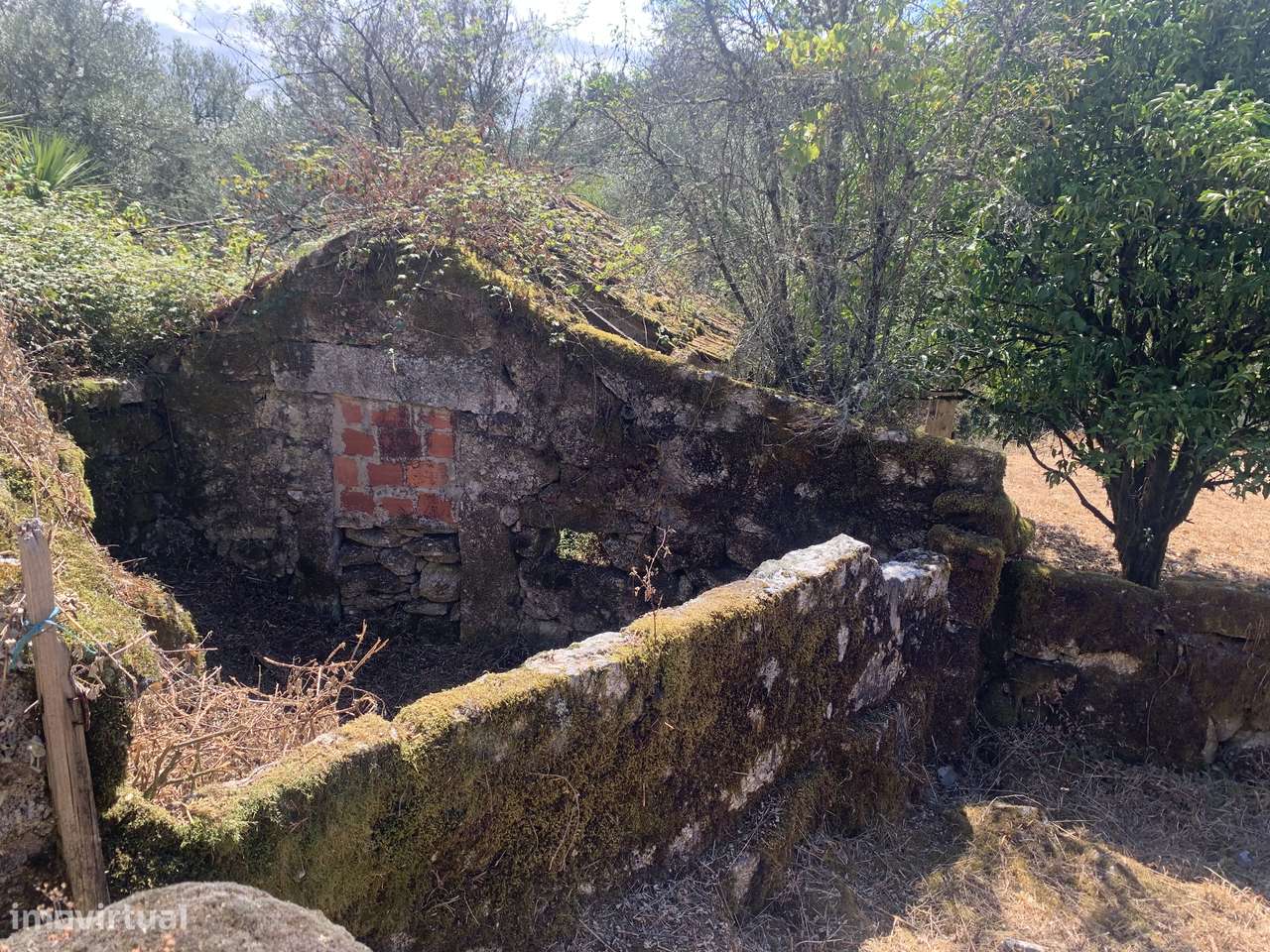 Terreno de 700m2 c/ Ruina-25