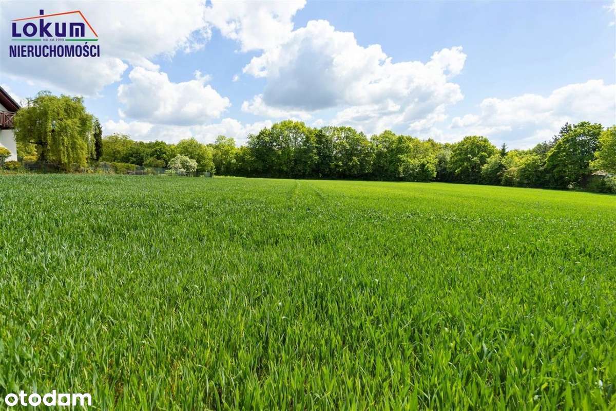 Działka pod dom lub usługi, blisko Skoczowa - Pełny obrazek: 4/16