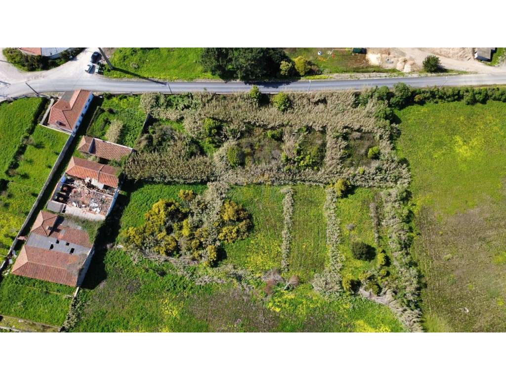 Terreno com 1,5 Hectarescom 4 Habitações junto ao Cabo da Roca-19