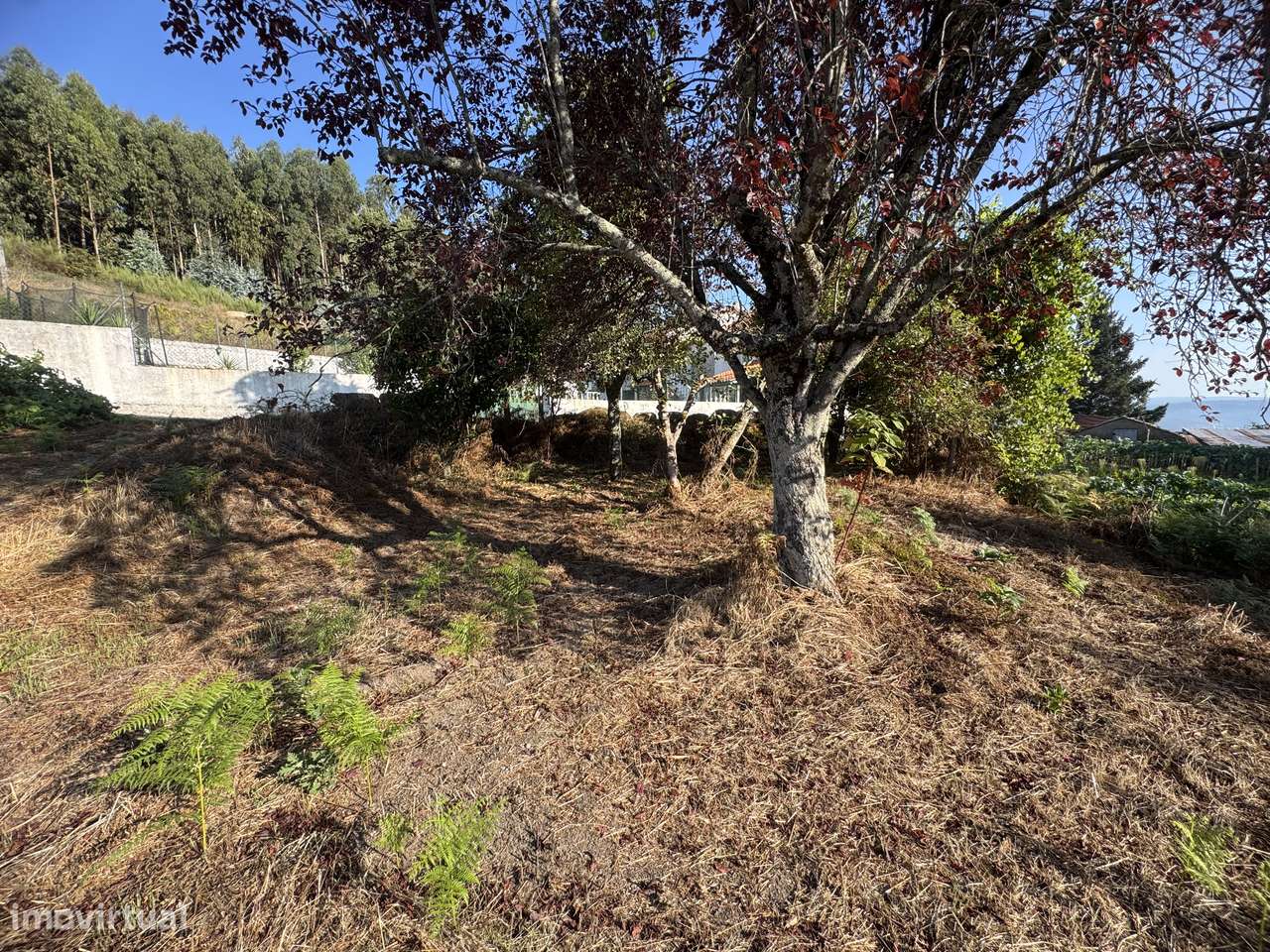 Terreno p/ construção - Vouzela - Grande imagem: 5/28