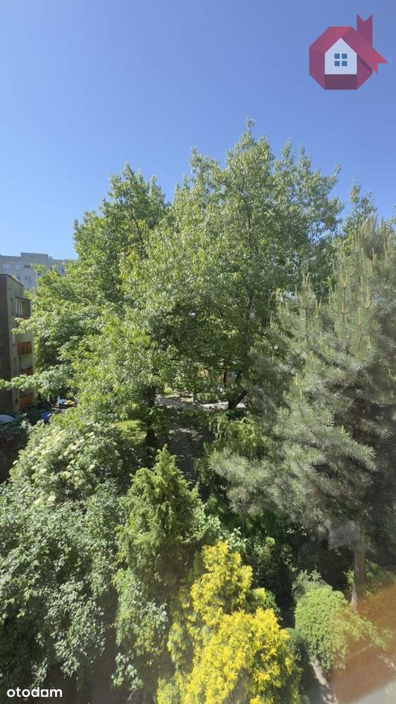 Inwestycyjnie - 4-pok. do remontu - Metro Lazurowa-15