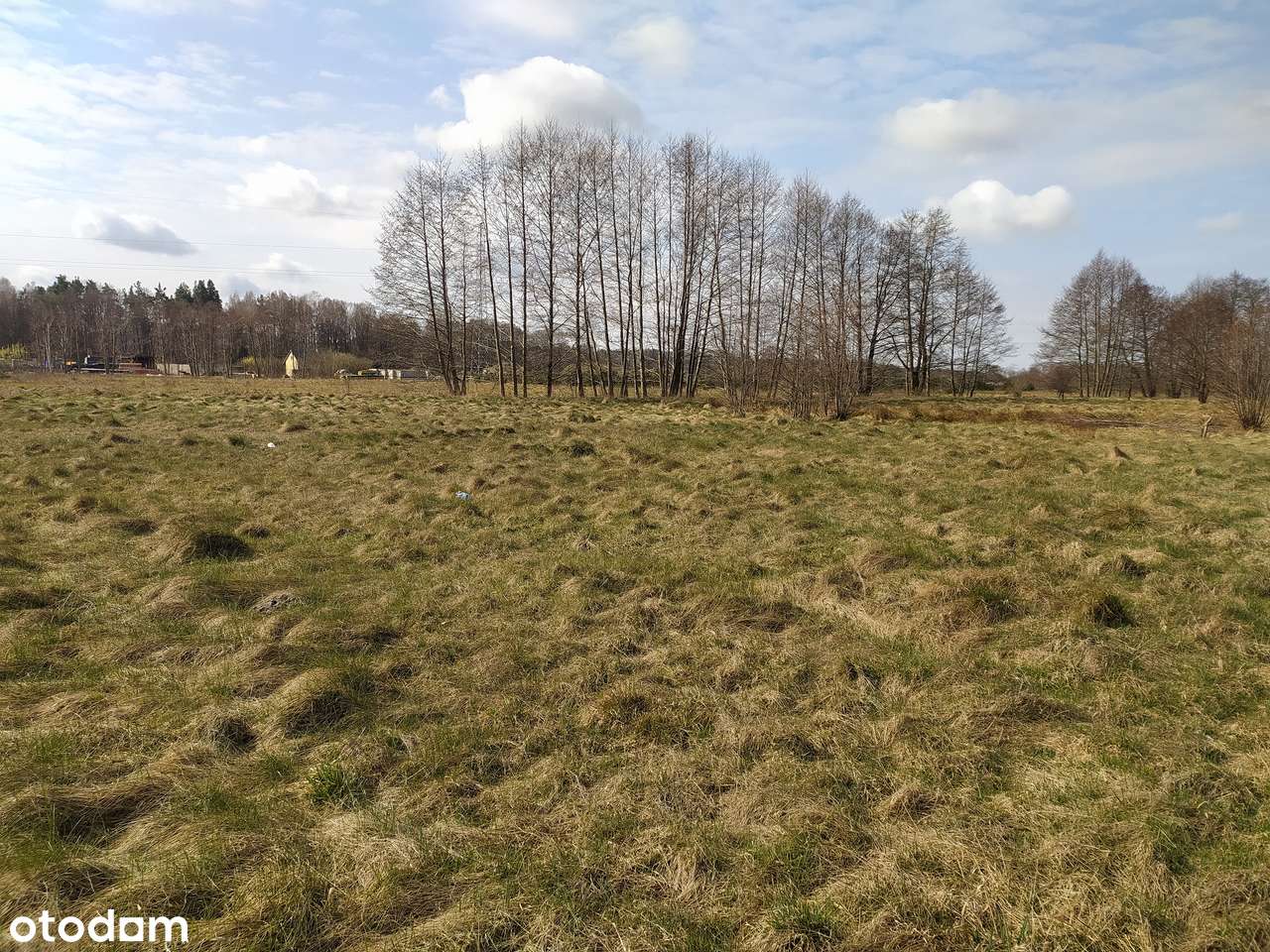 Twój własny kawałek ziemi-4