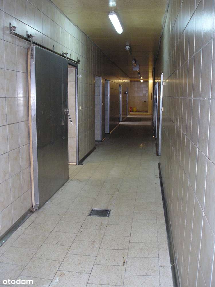 Magazyn Murowany Okazja - Pełny obrazek: 4/5