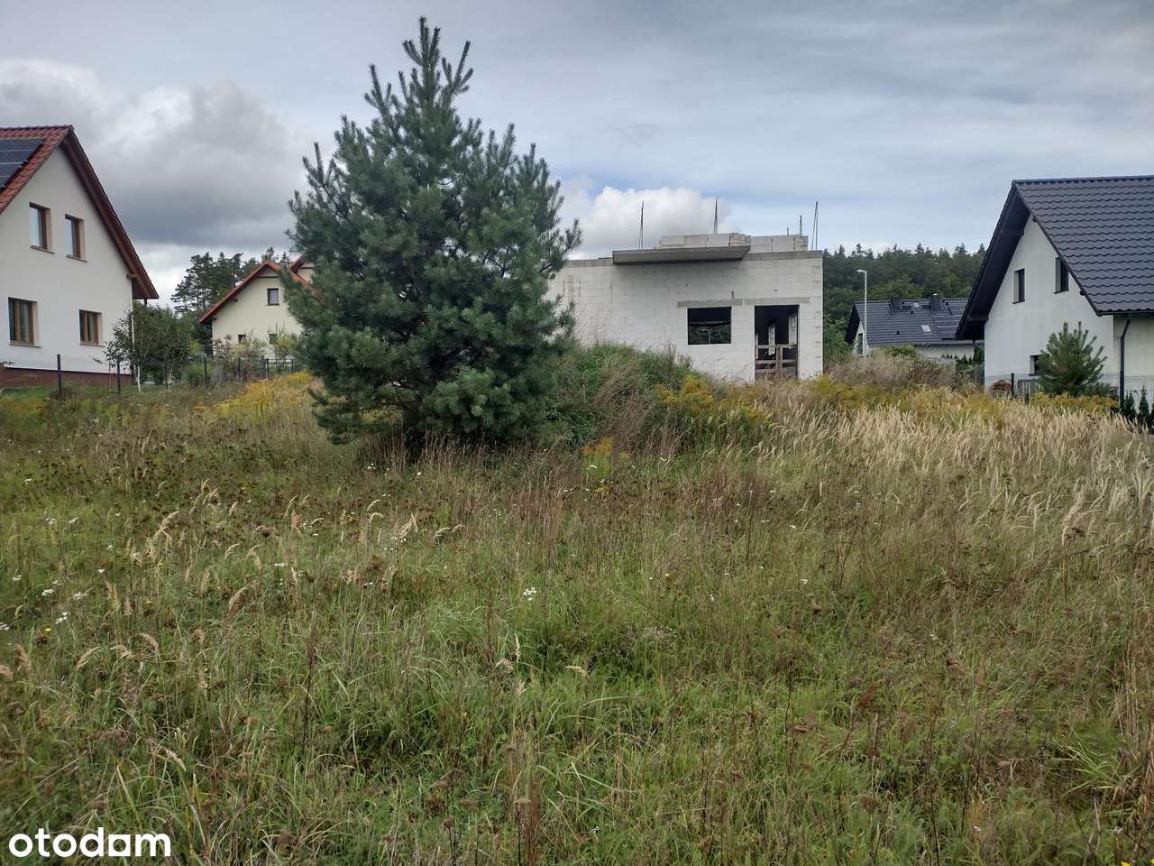 Działka 1570 m² w spokojnej okolicy - Pełny obrazek: 3/13