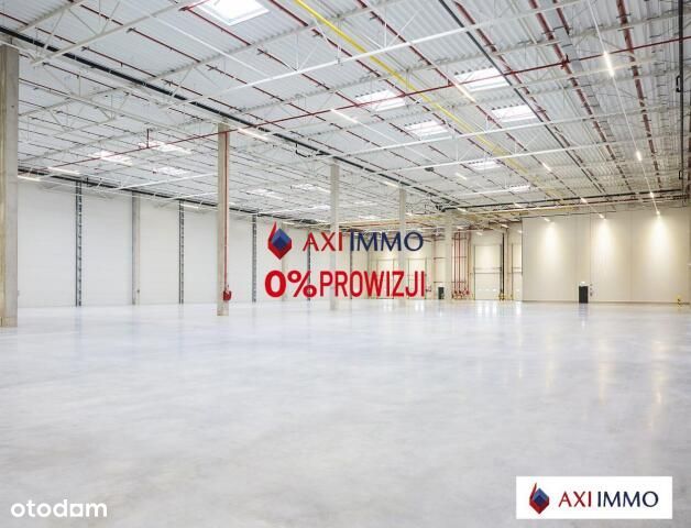 Magazyn 20 000 m2 Rawa Mazowiecka