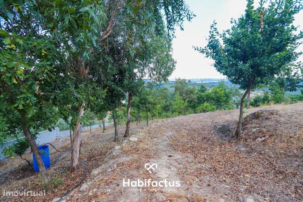 Lote de terreno urbano com 5003 m2 para venda em Santos Êvos-10