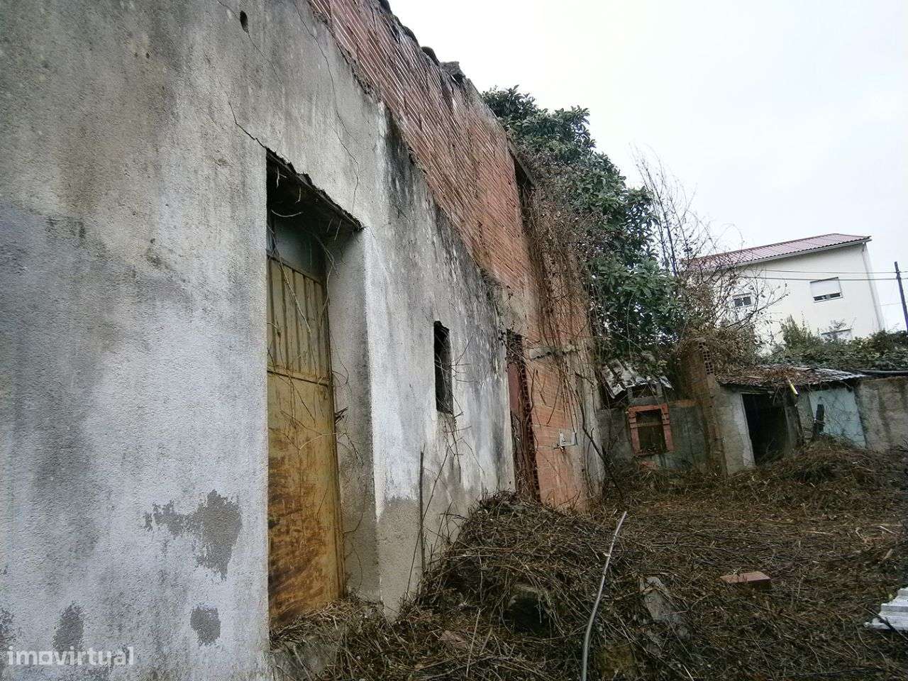 Moradia - Grande imagem: 5/8