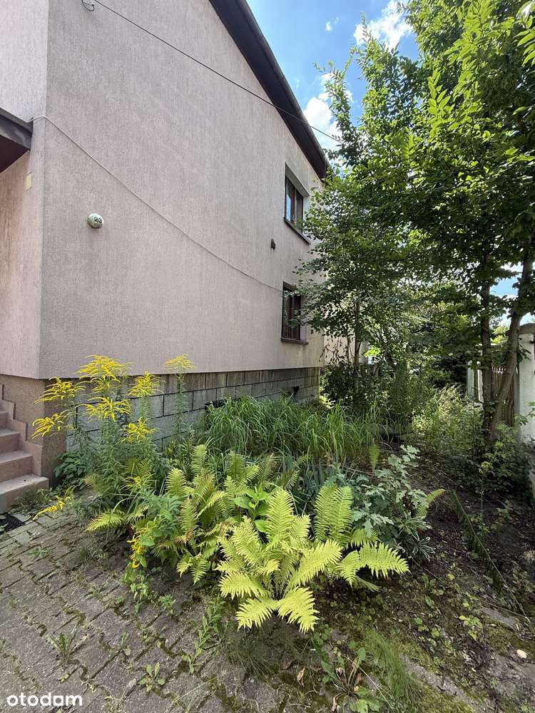 Ptasie Osiedle | do własnej aranżacji | piękna działka - Pełny obrazek: 3/6