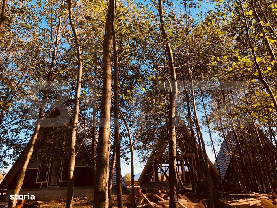 Pachet de 3 case in zona Tohanita, case tip A-frame  , 400 mp teren fi - Imagine principală: 4/15