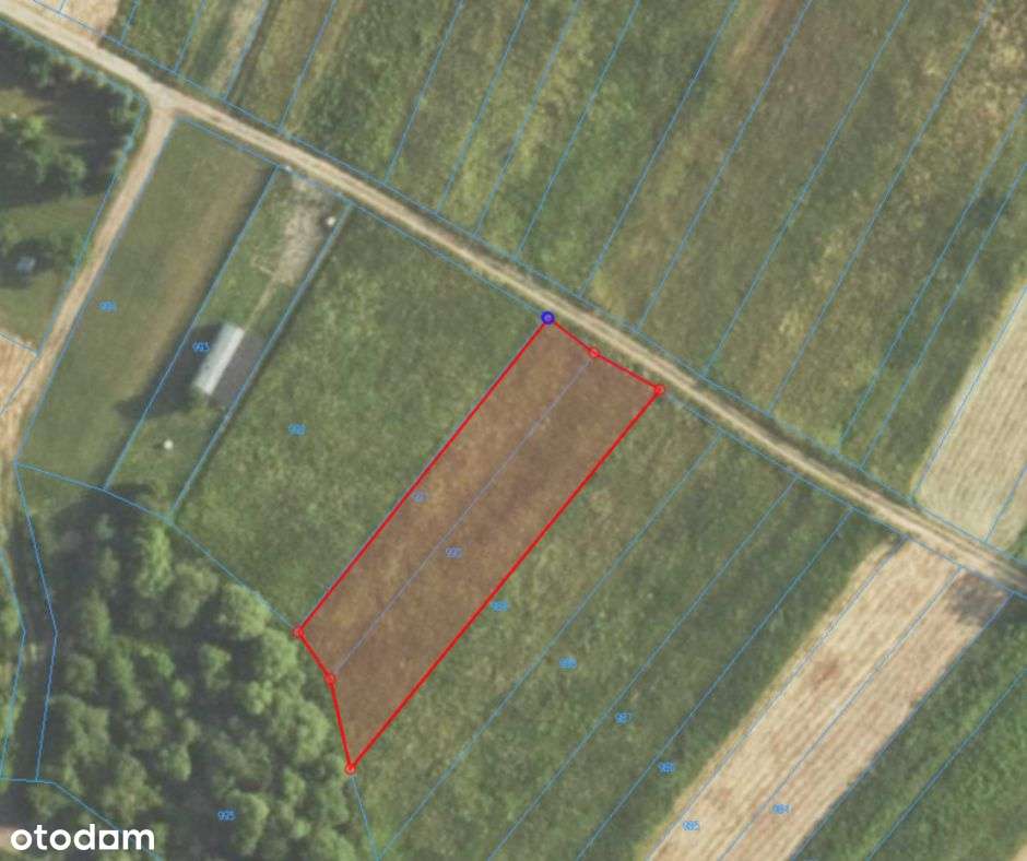 Olszanica- działka na sprzedaż - Pełny obrazek: 5/5