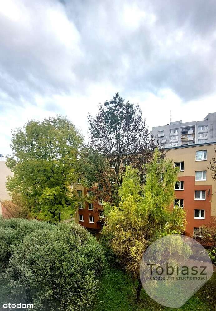 Wygodne, po remoncie, 2 pokoje+ jasna kuchnia-16