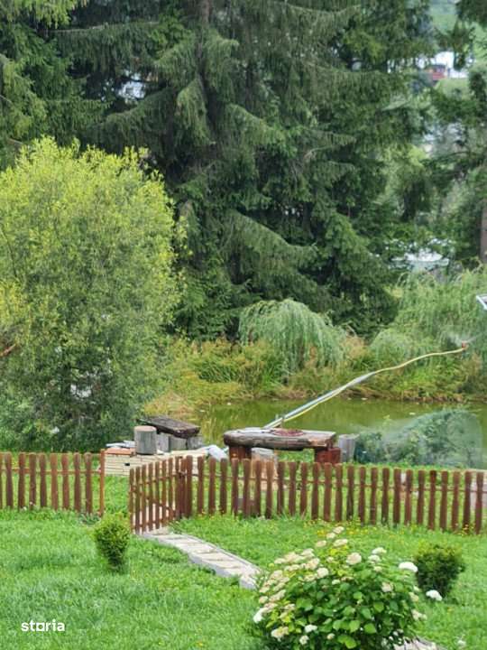 Domeniu situat la poalele Calimanilor - Imagine principală: 4/16