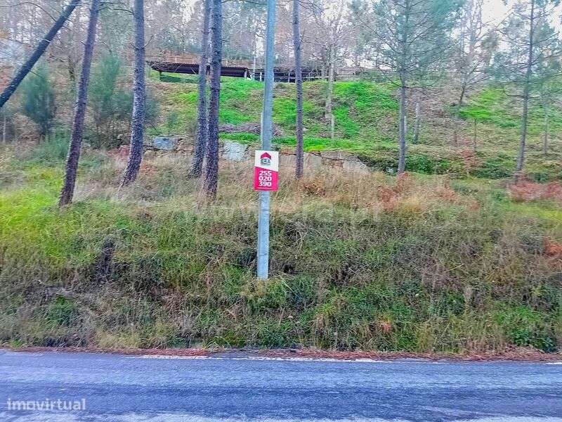 Moradia T1 / Baião, Loivos do Monte - Grande imagem: 5/8