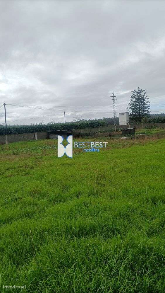 TERRENO PLANO COM 2550 M2, JUNTO AO HOSPITAL  SENHOR  BONFIM, VILA DO - Grande imagem: 4/6