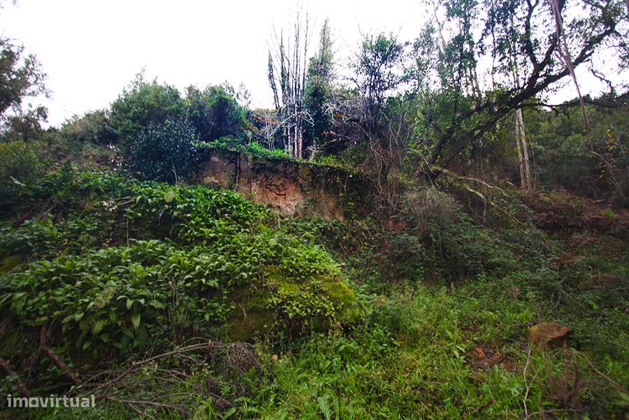 Grande propriedade, com floresta e 2 ruínas, Fraldeu, Óbidos-33