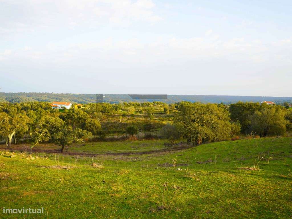 Terreno para Venda com 34 Hectares com Ruina na Serra de Grândola /...-17