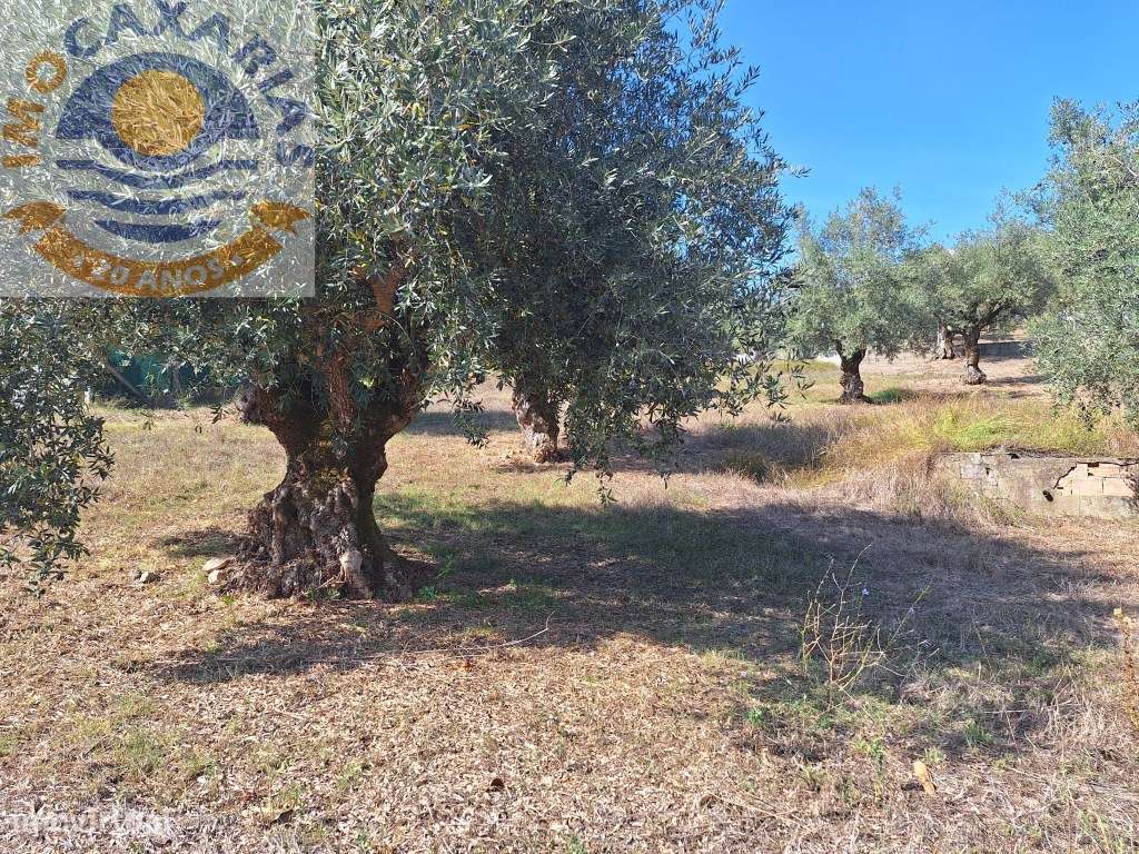 Terreno com viabilidade de construção. - Grande imagem: 5/8