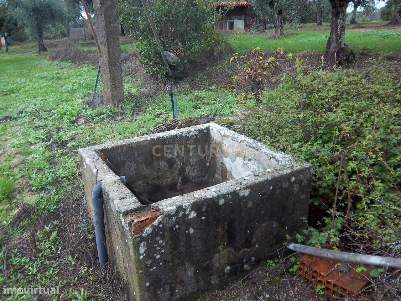 Terreno rústico na aldeia da Lousa, Castelo Branco - Grande imagem: 2/21