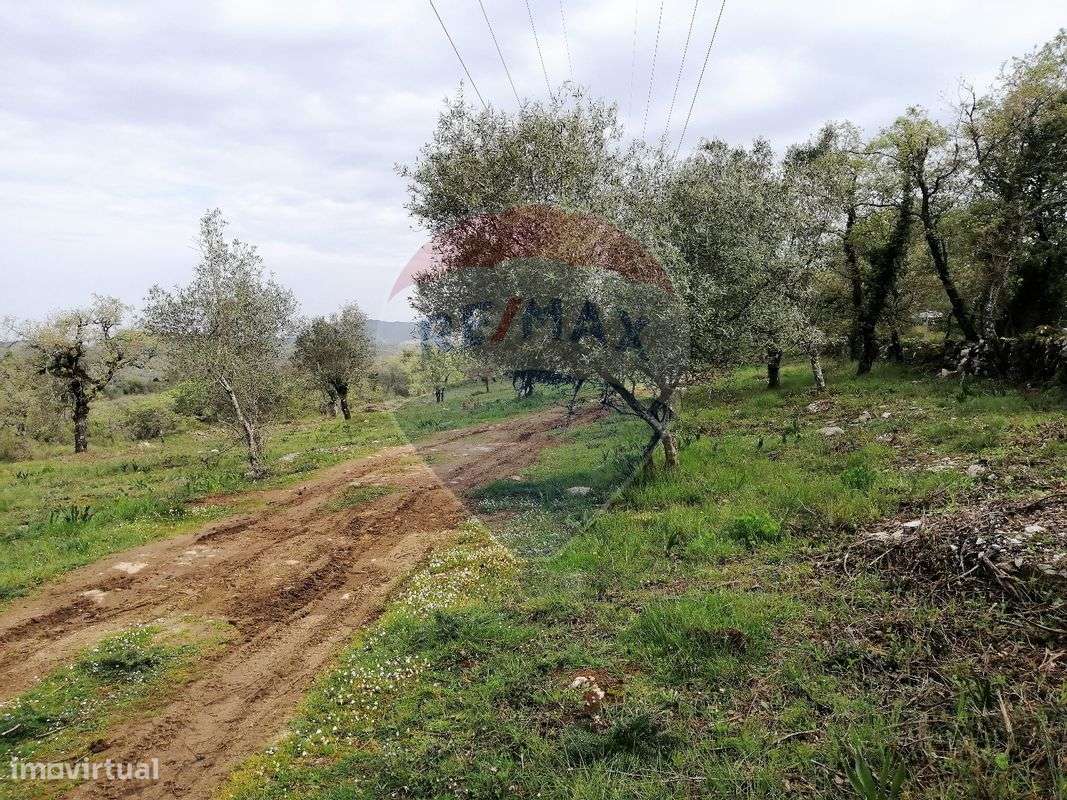 Terreno  para venda - Grande imagem: 5/8