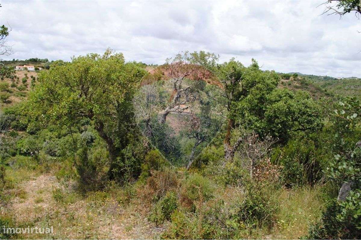 Terreno T0 para venda - Grande imagem: 3/12