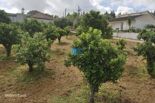 Terreno Construtivo em Torres Novas