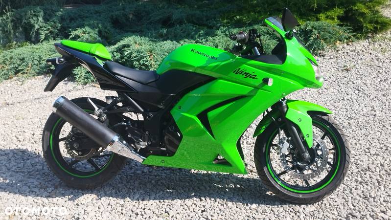 Kawasaki Ninja 250R - 4