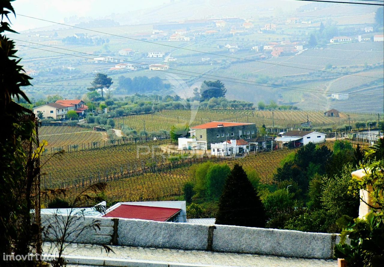 Terreno Urbanizável no centro de Sabrosa / Vila Real