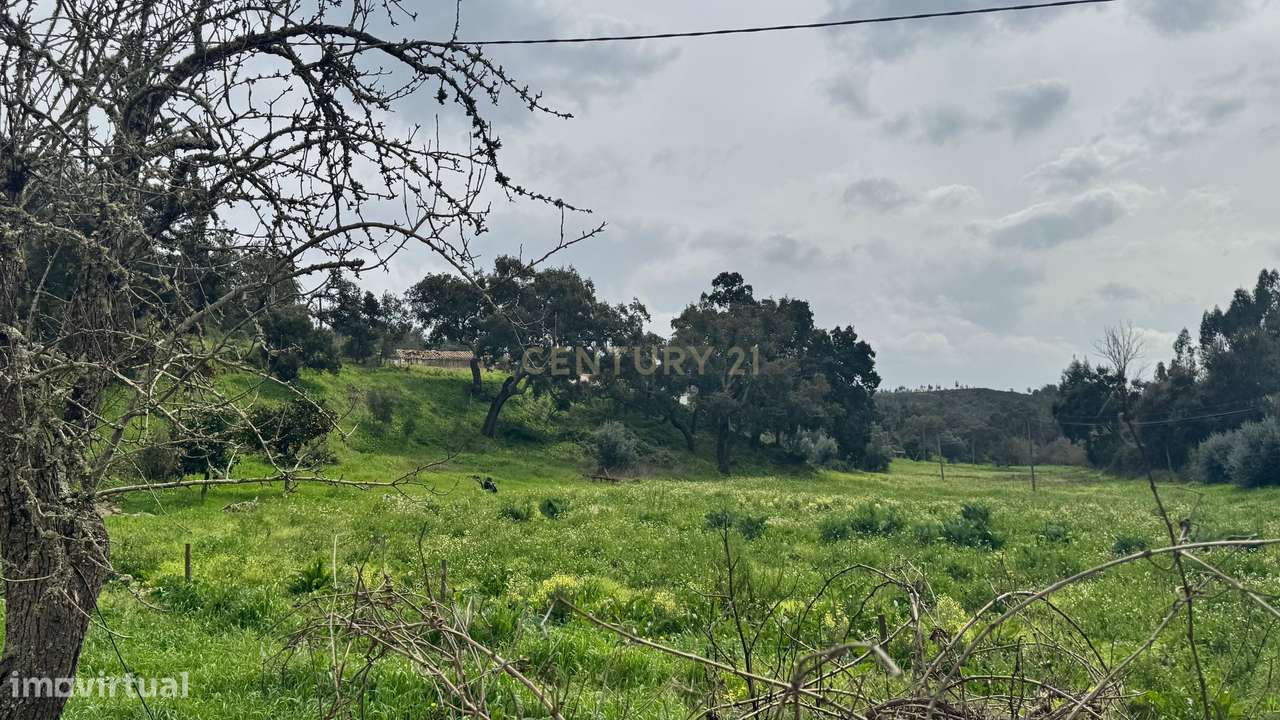Terreno Rústico - Grande imagem: 2/4