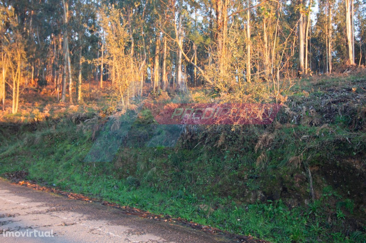 Excelente Terreno em Marrancos, Vila Verde!