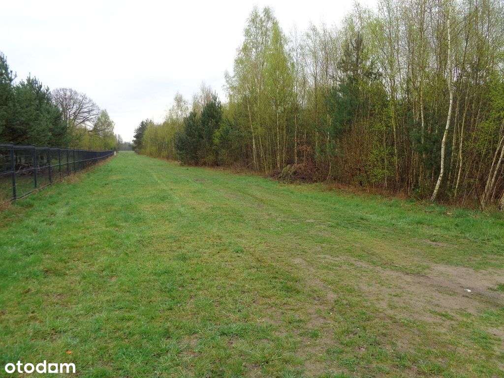 Działka budowlana w pobliżu Kampinoskiego P.N. - View 4