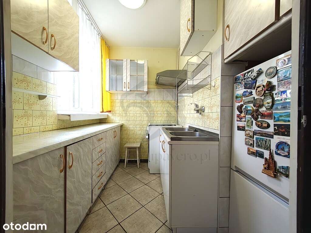 Uwaga! Tu skaczą Gumisie nie lokatorzy-14