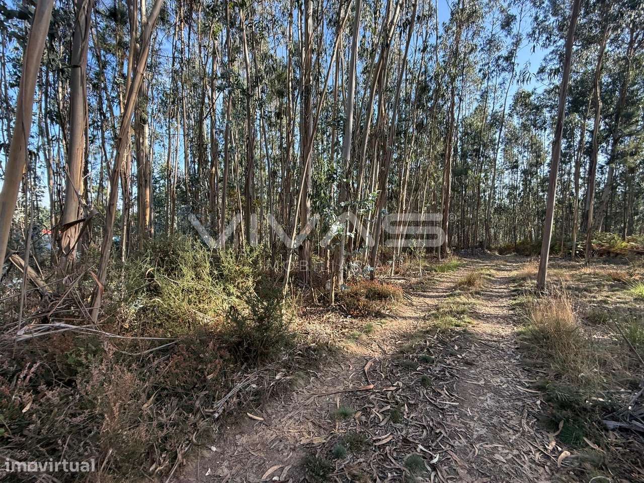 Terreno Rústico  Venda em Associação de freguesias do Vale do Neiva,Po - Grande imagem: 4/12