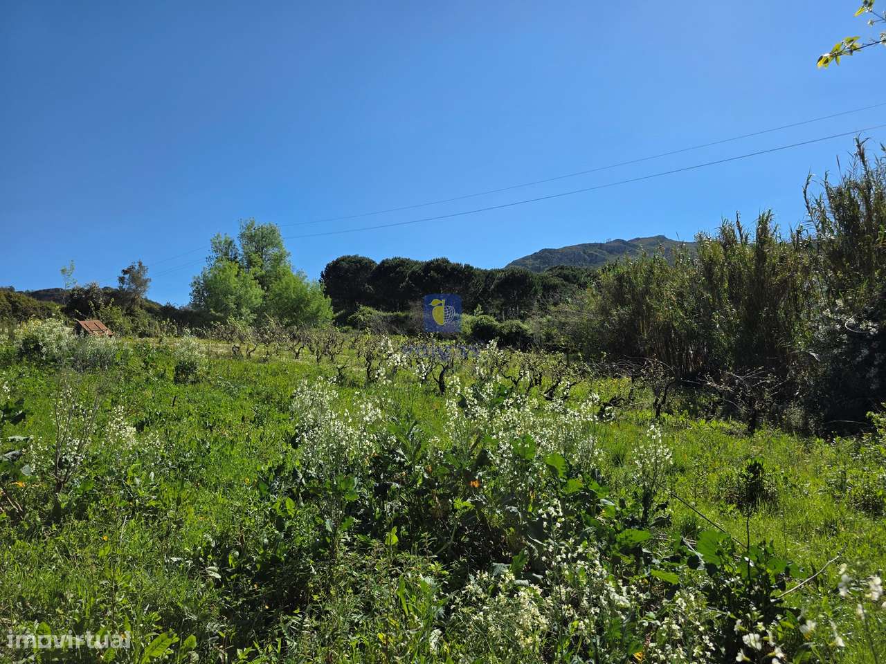 Terreno com 2.200m2, com viabilidade para construir 1806m2.-1