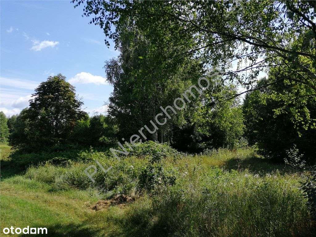 Działka na uboczu blisko Warszawy-4