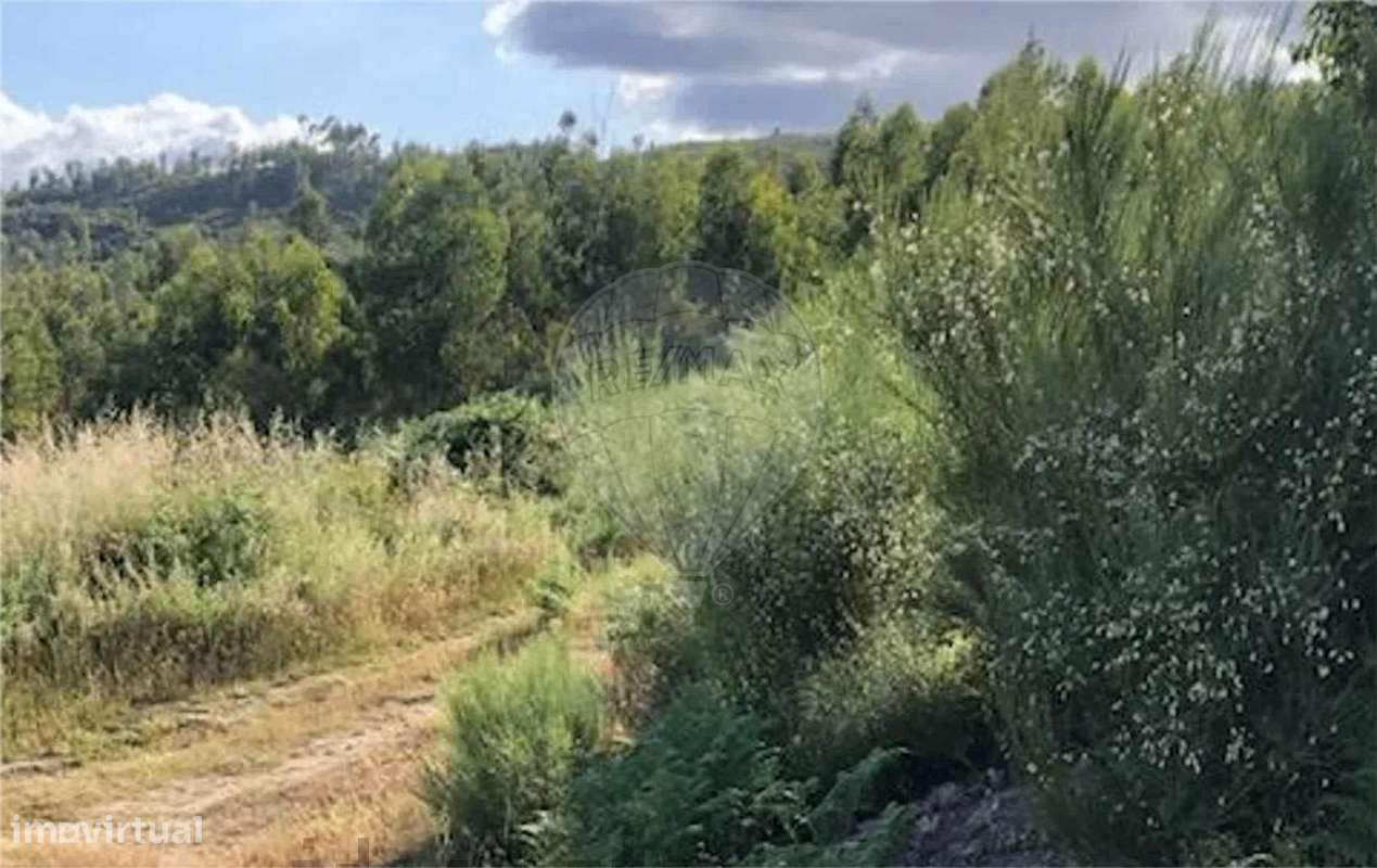 Terreno  para venda - Grande imagem: 5/5