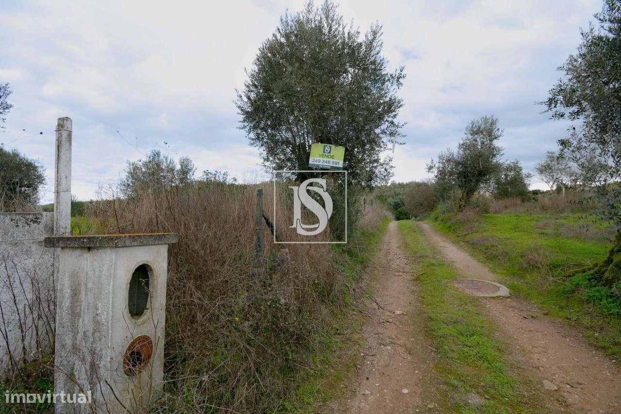 Terreno Urbano Linhaceira Tomar-9