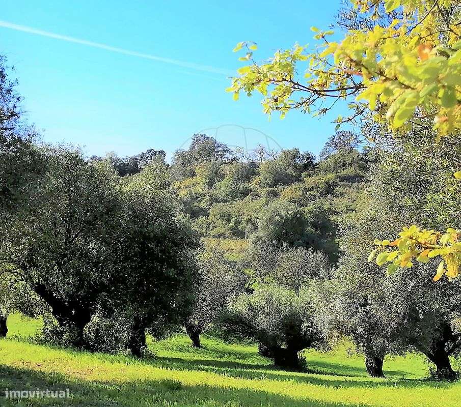 Terreno  para venda - Grande imagem: 5/16