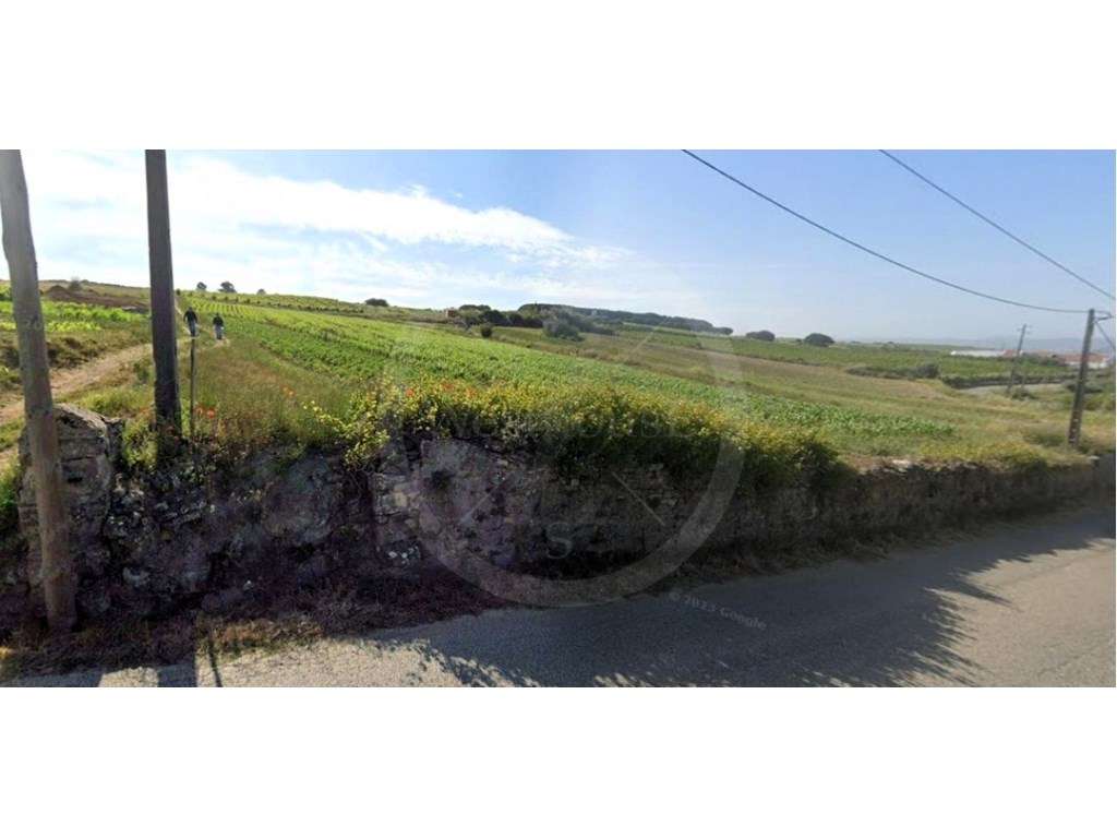 Terreno rústico com 5.129m2 no Varatojo, Torres Vedras, com grande ...-12