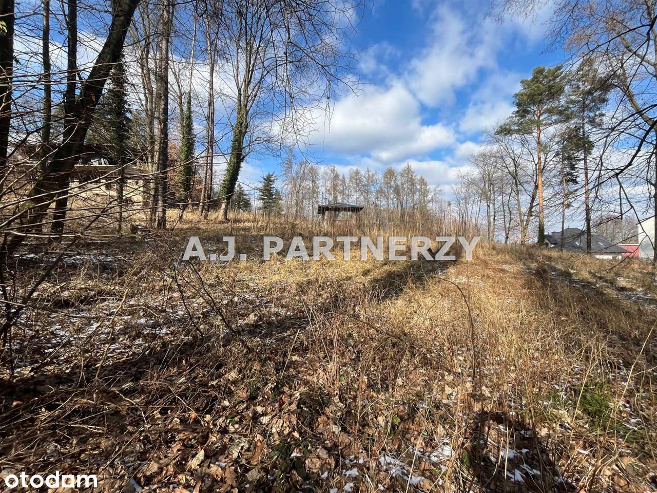 Duża działka w Swoszowicach!-0