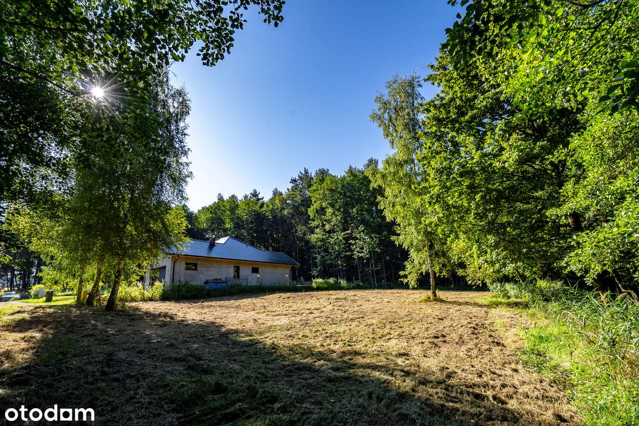Działka w Rogożnej z mediami i pięknym widokiem na las.-3