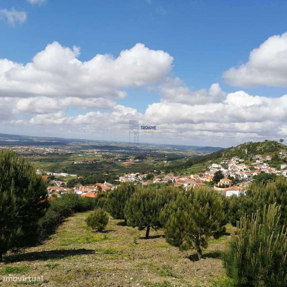 Terreno Misto com área total 7040 m2 Cadaval - Grande imagem: 4/7