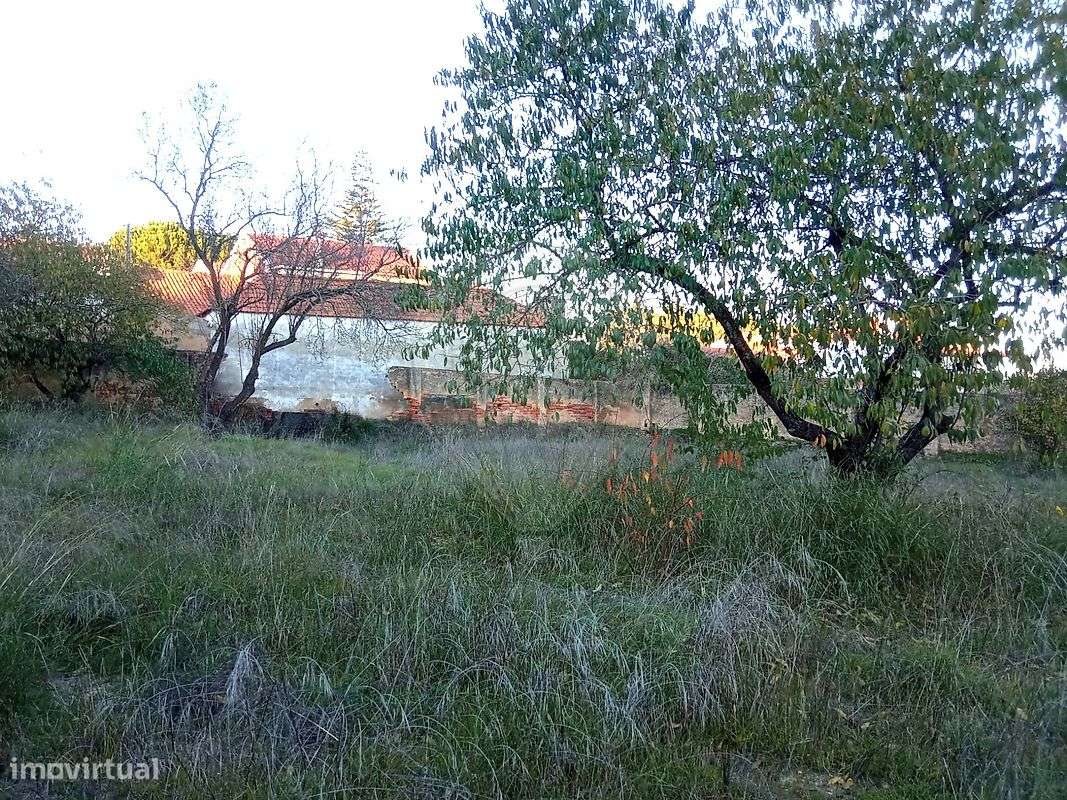 Terreno  para venda - Grande imagem: 4/5