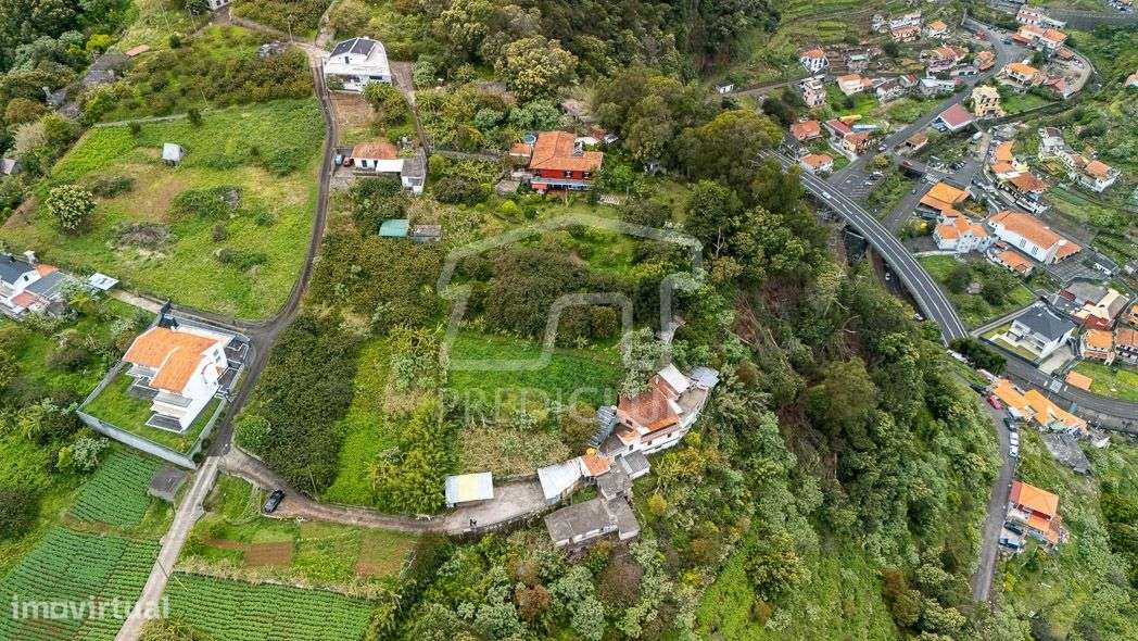 Terreno 2420 m2 - Machico-3