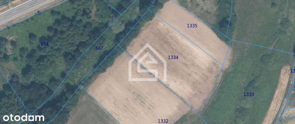 Grobla działka rolna - Pełny obrazek: 5/7