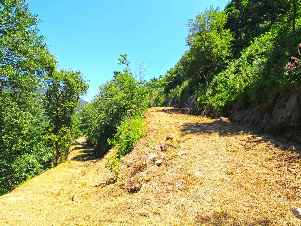 Quinta com frente de Rio Douro-22