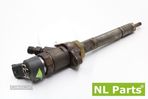 Injector Citroen Peugeot 0445110252 - 1