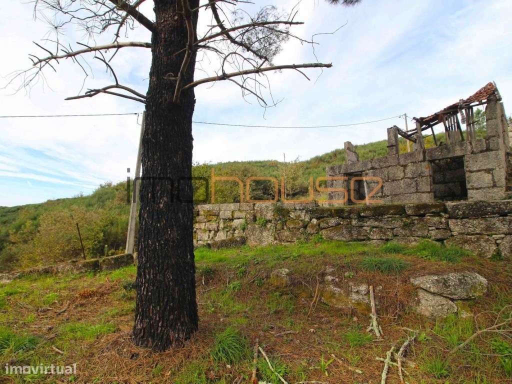 Quinta isolada - Amarante-15